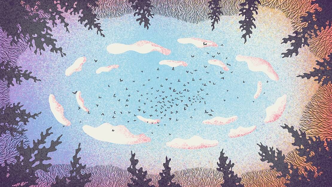 Illustrated flock of birds gathered in the sky, seen through a forest-lined clearing against some sparse clouds